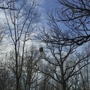 Somme Prairie Nature Preserve - Wow a wasp nest - Parks Near Me - Northbrook, Illinois Somme Prairie Nature Preserve - Wow a wasp nest - Parks Near Me - Northbrook, Illinois
