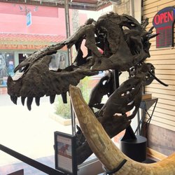 Prehistoric Florida