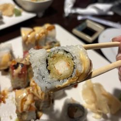 Hayashi Mayple - Long Island Roll