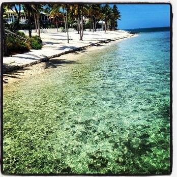 Latitudes - Sunset Key Cottages - Paradise .... - Seafood Near Me - Key West, Florida