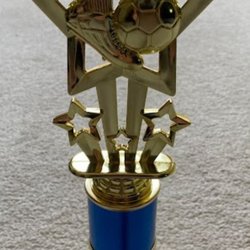 Tony Martin's Awards - Trophy