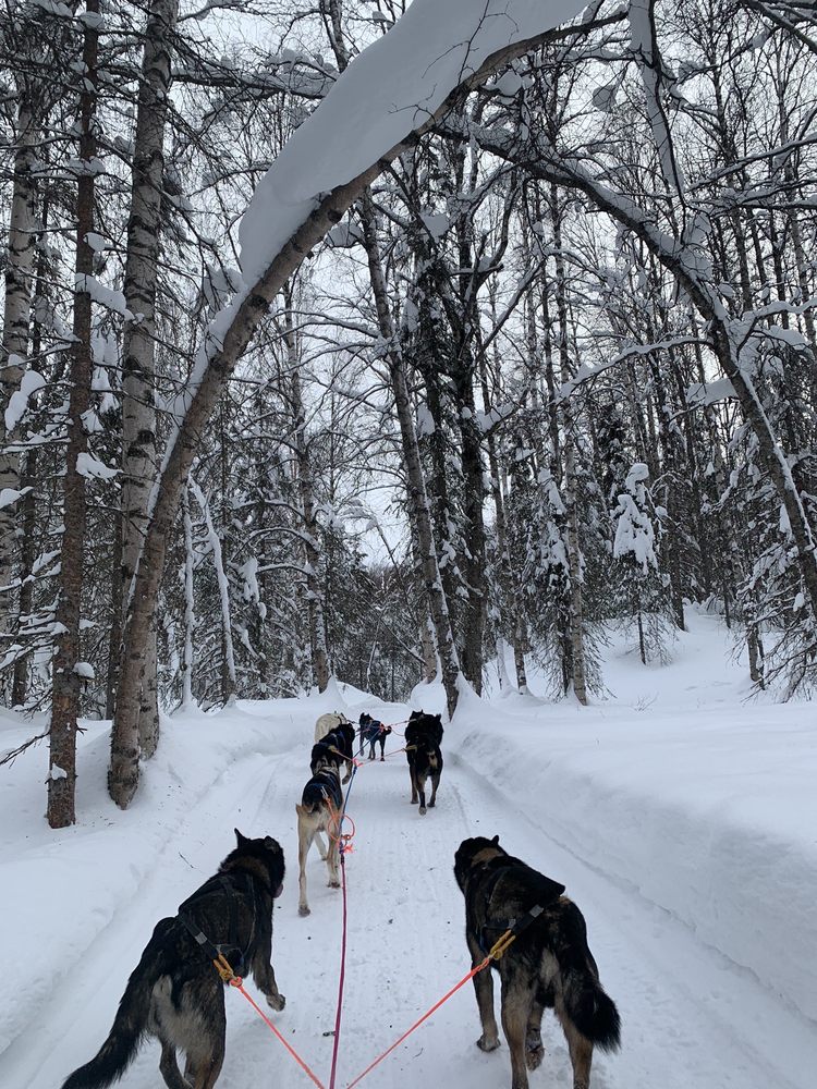 SNOWHOOK ADVENTURE GUIDES OF ALASKA 169 Photos & 66 Reviews 23880