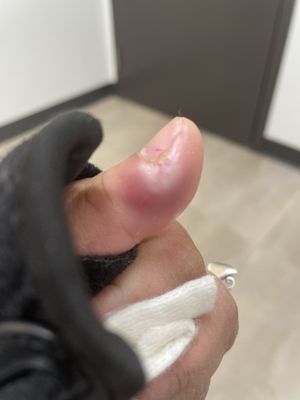 Regal Nails, Salon & Spa