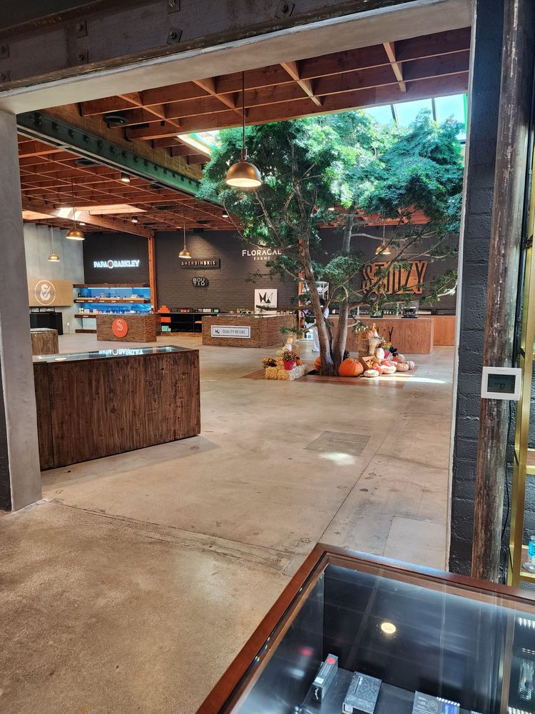 ERBA SAWTELLE Updated August 2024 64 Photos & 67 Reviews 2304