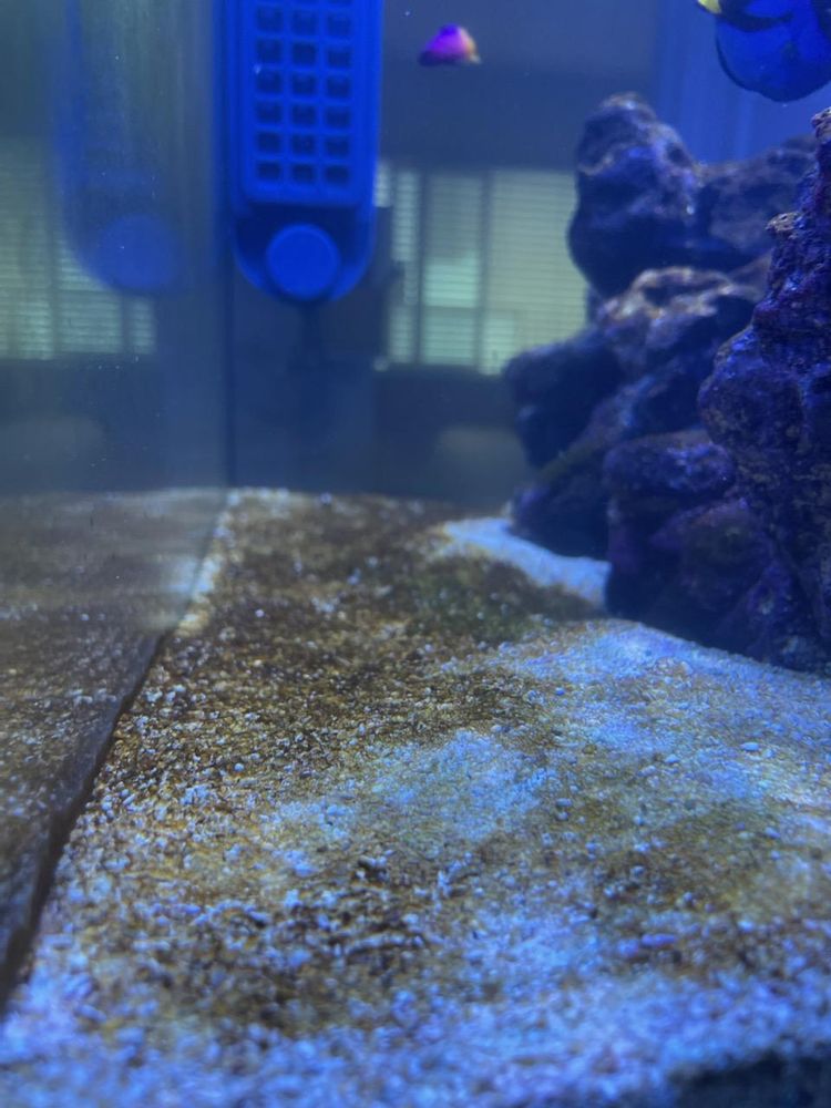 AQUATIC COLLECTION AQUARIUM 102 Photos & 146 Reviews Aquarium