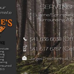 Jorge’s Tree Service