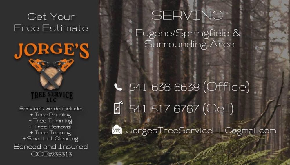 Jorge’s Tree Service - tree service in Eugene, OR