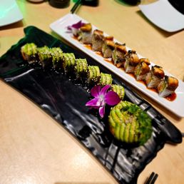 Avocado Train Avocado Train