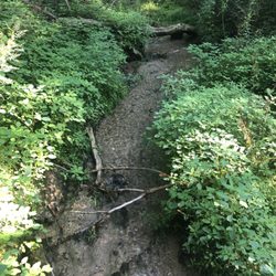 Hildebrand Nature Conservancy - A peek at Van Slyke Creek.