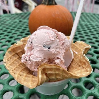 Lazy Sundaes Ice Cream - A small Cape Cod Cranberry in a freshly made waffle bowl. Doesn't get any better! - Ice Cream & Frozen Yogurt Near Me - Cataumet, Massachusetts Lazy Sundaes Ice Cream - A small Cape Cod Cranberry in a freshly made waffle bowl. Doesn't get any better! - Ice Cream & Frozen Yogurt Near Me - Cataumet, Massachusetts