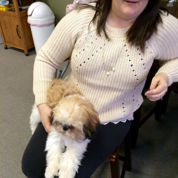 Vapor Cafe - Vapor Cafe's very own guard dog Saddie! - Tobacco Shops Near Me - Franklin, Tennessee Vapor Cafe - Vapor Cafe's very own guard dog Saddie! - Tobacco Shops Near Me - Franklin, Tennessee