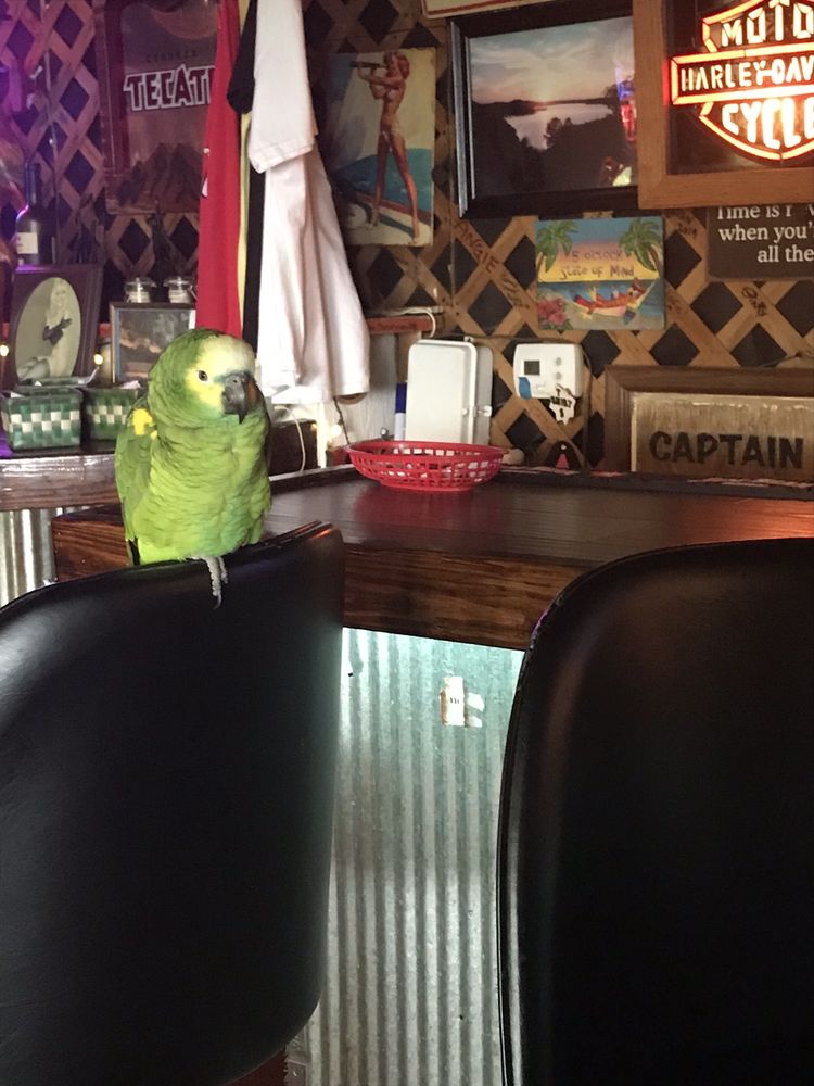 THROTTLE DOWN BAR AND GRILL Updated October 2024 9687 Hwy 13