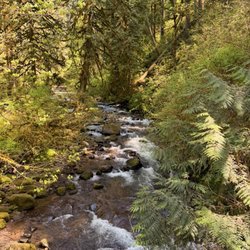 Mcdowell Creek Falls