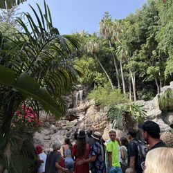 Loro Parque - Water fall on the entrance