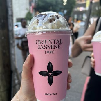 Molly Tea - Snowy jasmine - Bubble Tea Near Me - Flushing, New York Molly Tea - Snowy jasmine - Bubble Tea Near Me - Flushing, New York