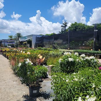 GARDENWORKS - Nurseries & Gardening Near Me - Fort Lauderdale, Florida GARDENWORKS - Nurseries & Gardening Near Me - Fort Lauderdale, Florida