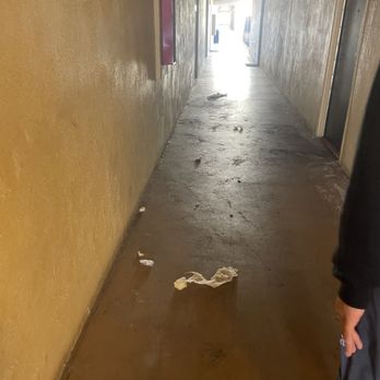 Solaris Apartments - Dirty apartments halls - Apartments Near Me - Hayward, California Solaris Apartments - Dirty apartments halls - Apartments Near Me - Hayward, California