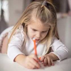 Bambini Montessori School