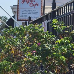 a sign for yogos's cafe a sign for yogos's cafe