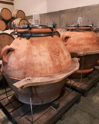 Beaux Frères by null