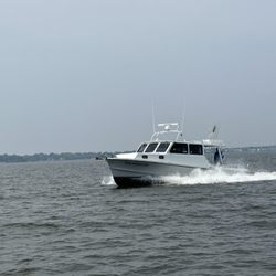 Fin Hunter Charters