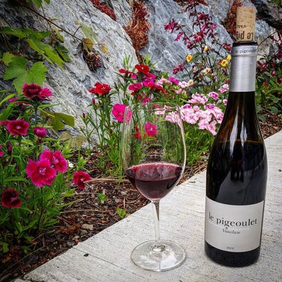 Woods Bay Wine by null