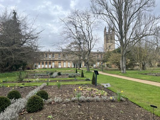 Oxford Botanic Garden by null