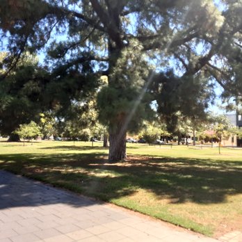 Hurtle Square - Park - Parks Near Me - Adelaide, SA