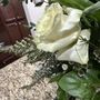 Photo of Flowers by Alison