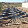 Photo of Expert Solar Systems