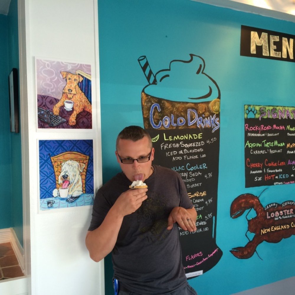 Coffee Hound - Tom enjoying his tart... - Coffee & Tea Near Me - Bar Harbor, Maine