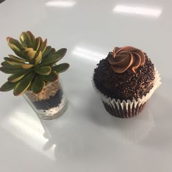The Cake Shop