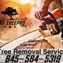 Photo of 845 Tree Pro