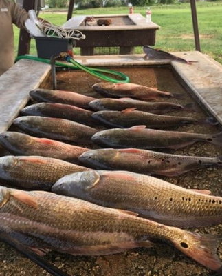 Off the Hook Fishing Trips