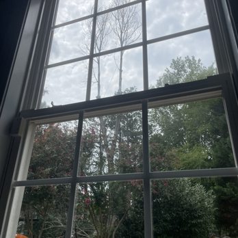 Union Tree Experts - Tree removal - Tree Services Near Me - Indian Trail, North Carolina Union Tree Experts - Tree removal - Tree Services Near Me - Indian Trail, North Carolina