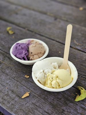Coconut Glen's by null