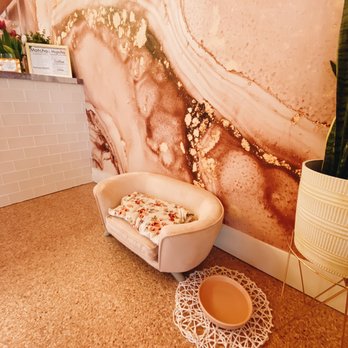 Our Matcha Place - A little spot for your pup to sit! How adorable :P - Coffee & Tea Near Me - Temecula, California