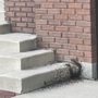 Photo of Agent Pest Control