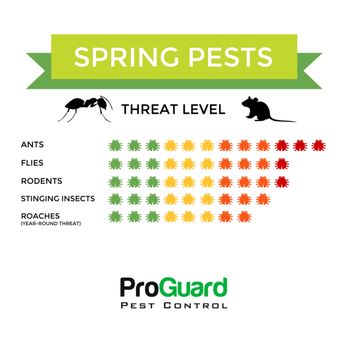 ProGuard Pest Control - Spring Pests Guide Boise Idaho - Pest Control Near Me - Eagle, Idaho