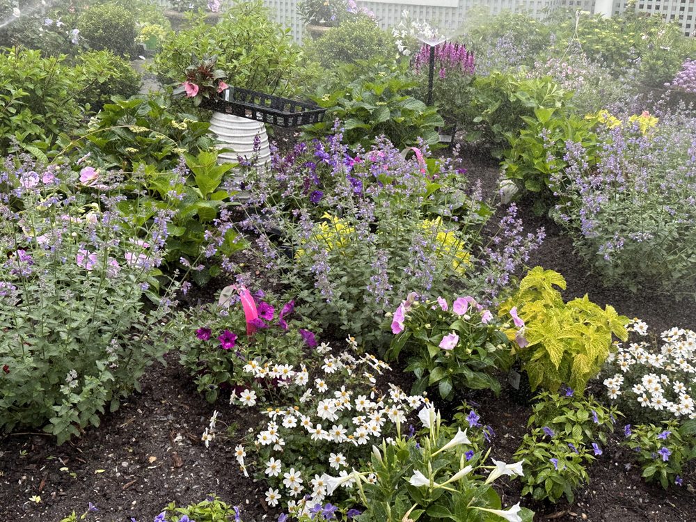 Slide of Sprinkle Smart