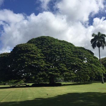 Moanalua Gardens - Parks Near Me - Honolulu, Hawaii Moanalua Gardens - Parks Near Me - Honolulu, Hawaii