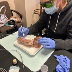 Elite Dental Lazer Certification - Hands on Diode laser certification of course