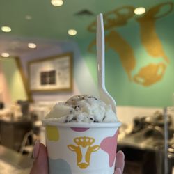 Golden Cow Creamery - Mint chocolate chip