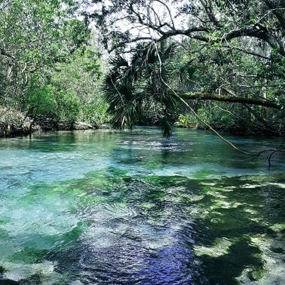 Weeki Wachee Kayaking - Rafting/Kayaking Near Me - Weeki Wachee, Florida Weeki Wachee Kayaking - Rafting/Kayaking Near Me - Weeki Wachee, Florida