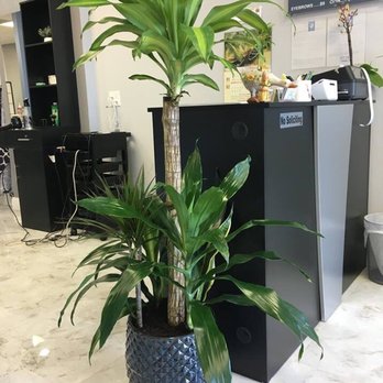 Hair Studio by Vivivan - Hair Salons Near Me - Pinellas Park, Florida Hair Studio by Vivivan - Hair Salons Near Me - Pinellas Park, Florida