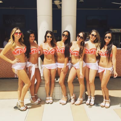 Venus Pool + Lounge by null