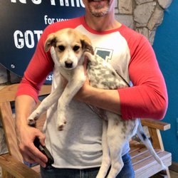 Humane Society of the Tennessee Valley