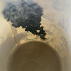 City Brew Coffee