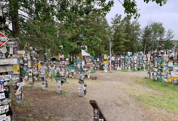 Sign Post Forest by null
