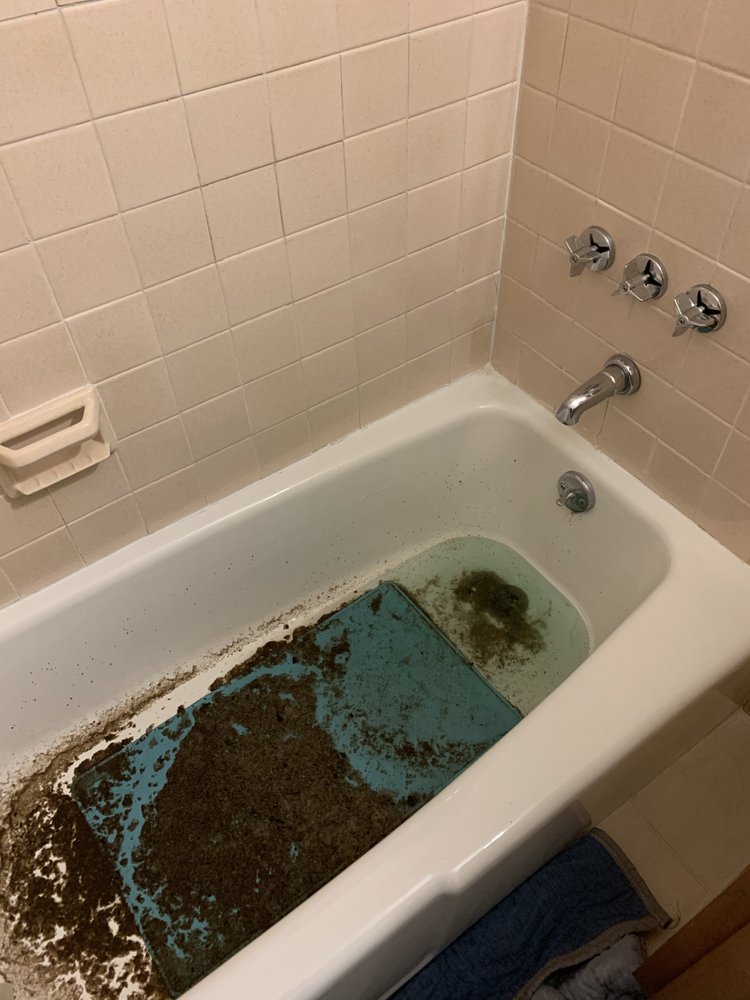 Slide of Teo's Sewer & Drain